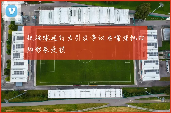 极端球迷行为引发争议名嘴痛批纽约形象受损