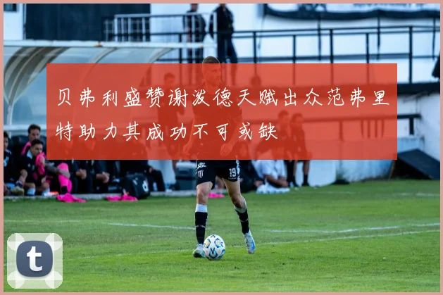 贝弗利盛赞谢泼德天赋出众范弗里特助力其成功不可或缺