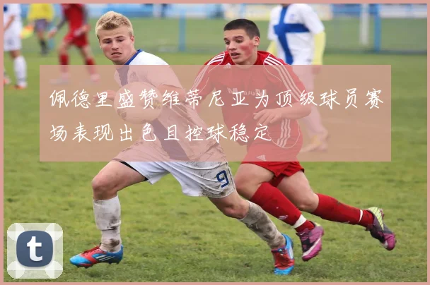 佩德里盛赞维蒂尼亚为顶级球员赛场表现出色且控球稳定