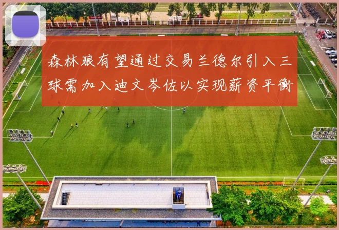 森林狼有望通过交易兰德尔引入三球需加入迪文岑佐以实现薪资平衡
