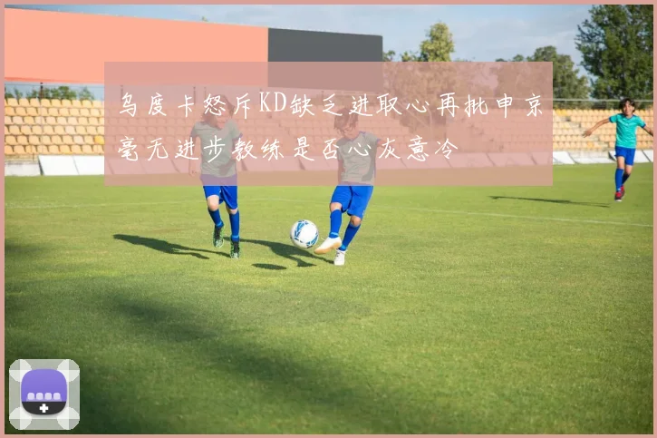 乌度卡怒斥KD缺乏进取心再批申京毫无进步教练是否心灰意冷
